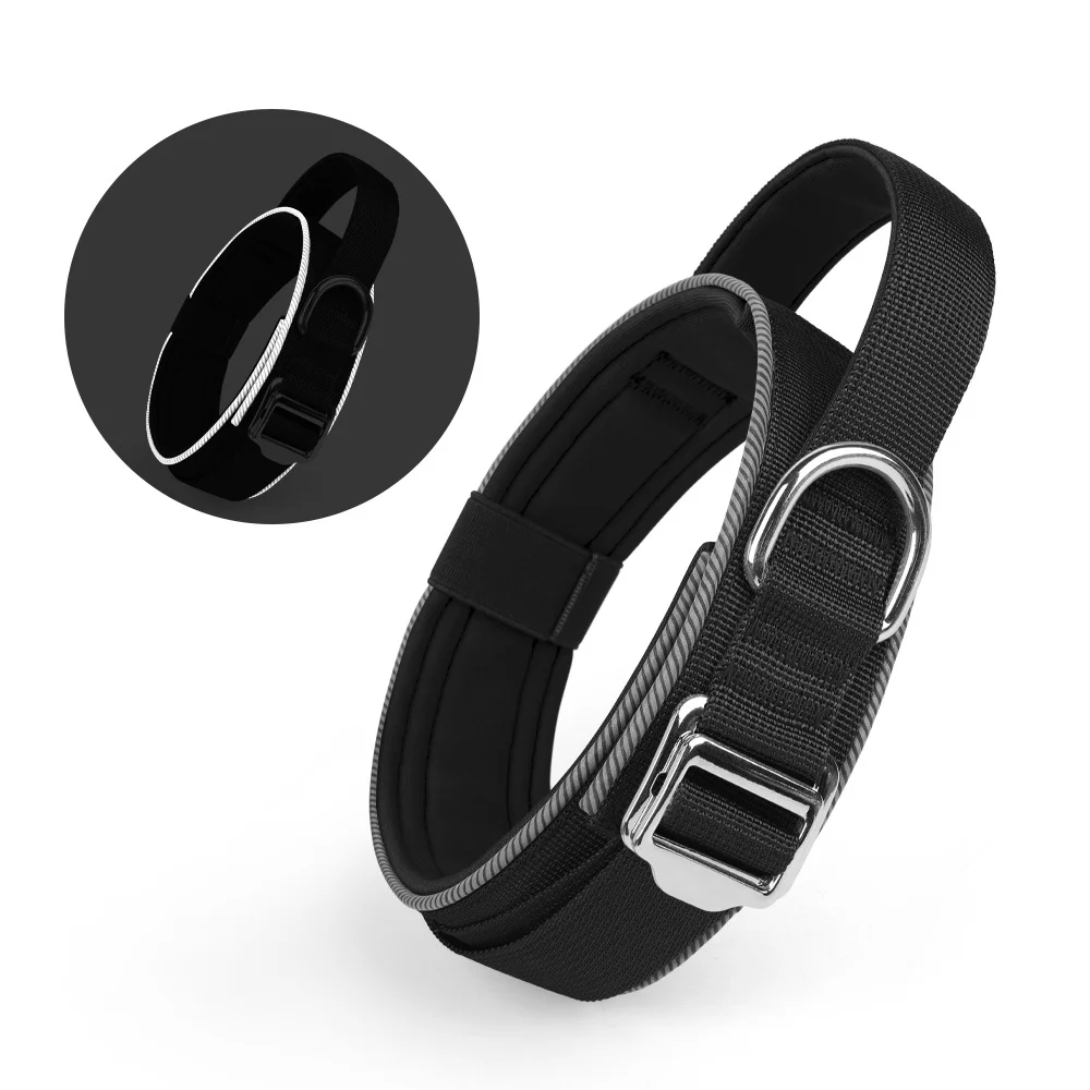 dog-collar-black-905-1630-1