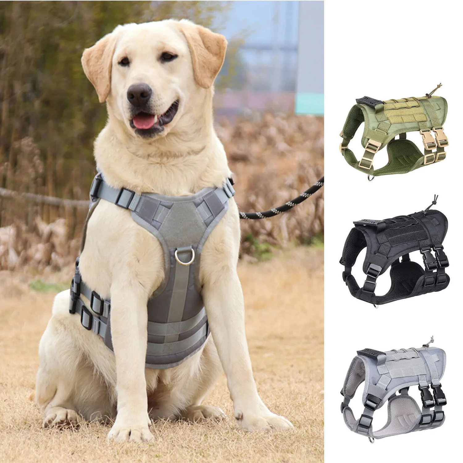 dog-harness-905-1604-1