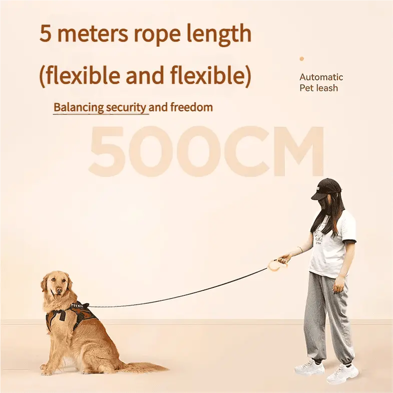 dog-leash-830-1035-2