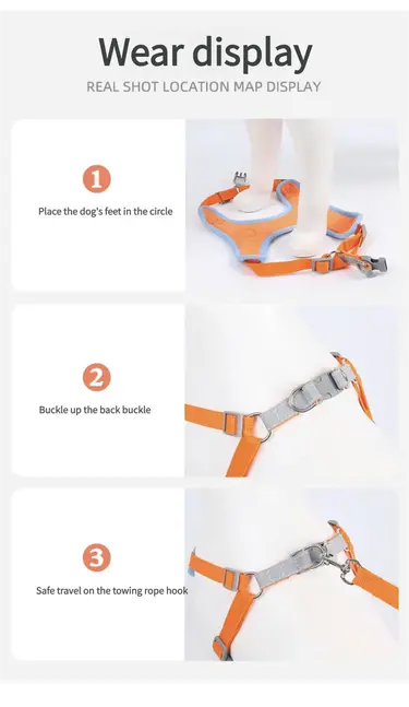 dog_leash_data_822_26
