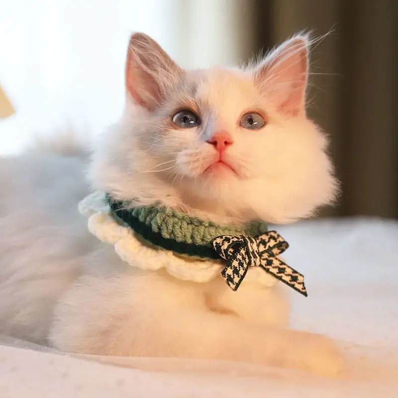 Knitted-pet-collars-green-1