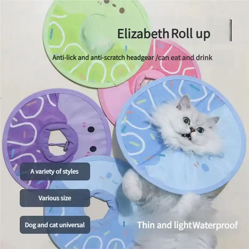 elizabethan-circle-916-1103-1