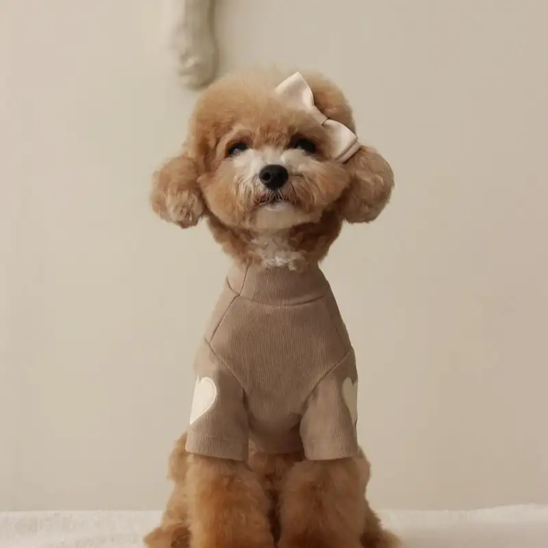 pet-cloth-brown-913-1511-1