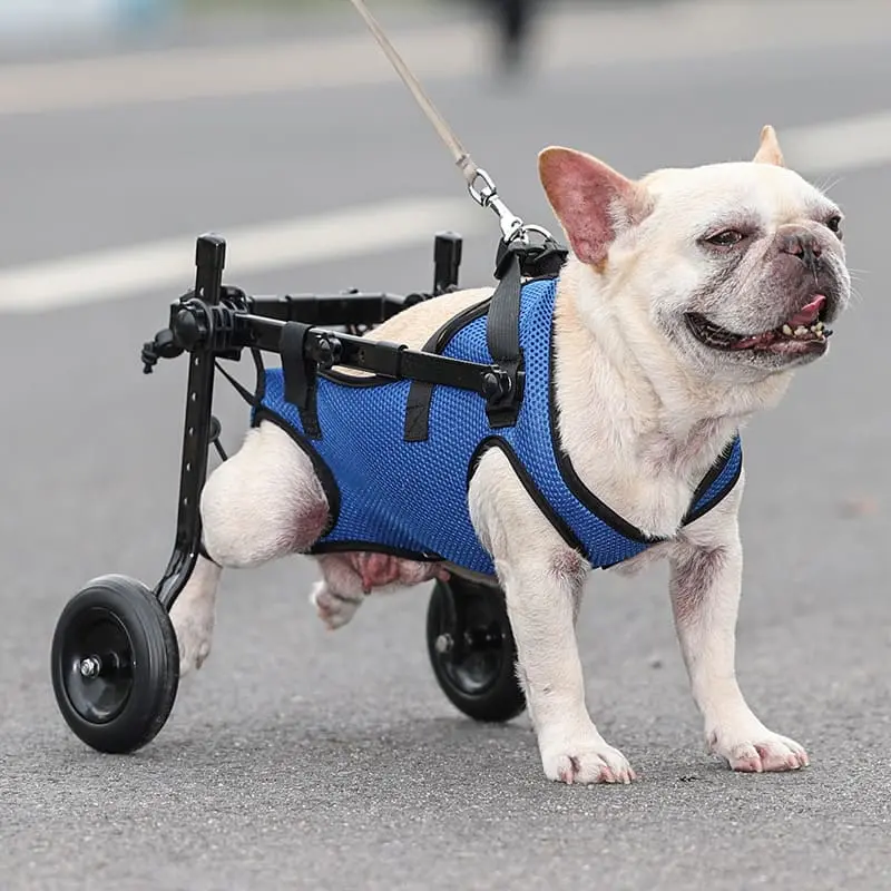 dog-wheelchair-cart-901-1119-3