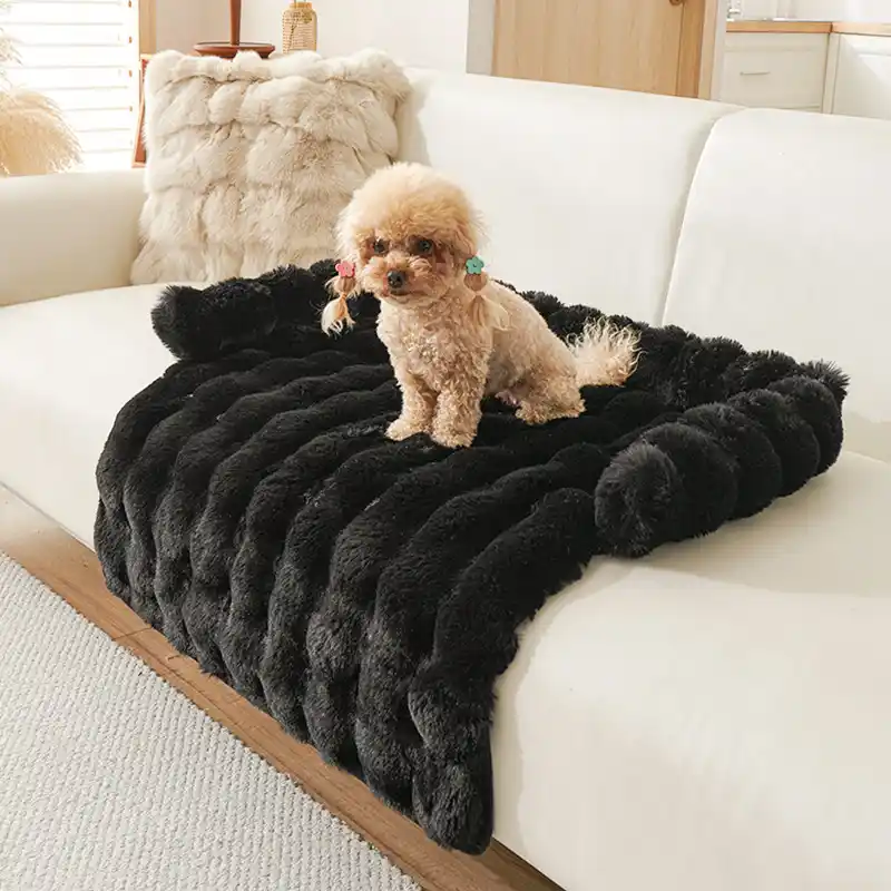 pet-bed-black-923-1150-1
