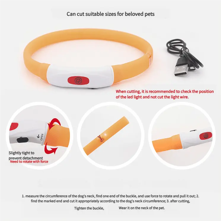 Dog-light-collar-830-1022-1
