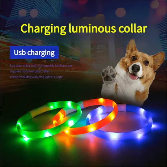 Dog-light-collar-830-1022-2