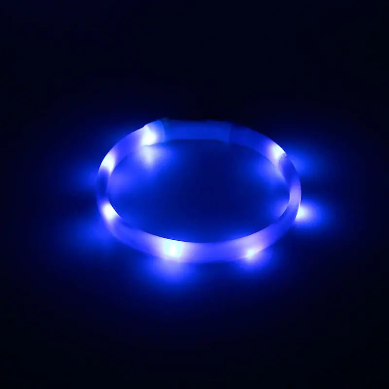Dog-light-collar-blue-830-1022-1
