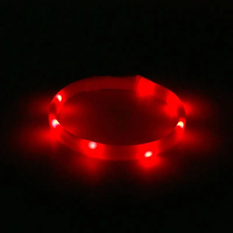Dog-light-collar-red-830-1022-1