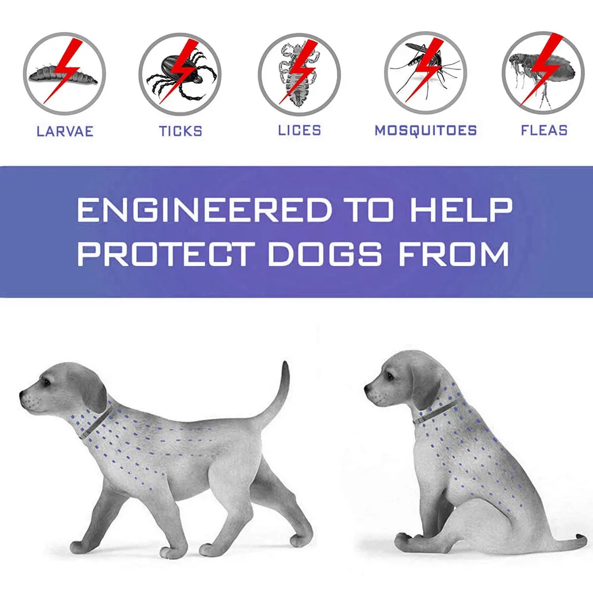 Pet-anti-worm-collar-830-954-1