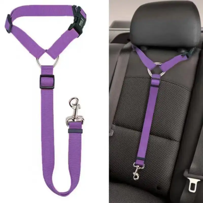 pet-safety-belt-purple-909-937-1