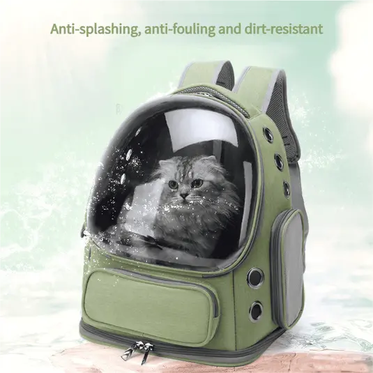 cat-bag-827-912-2