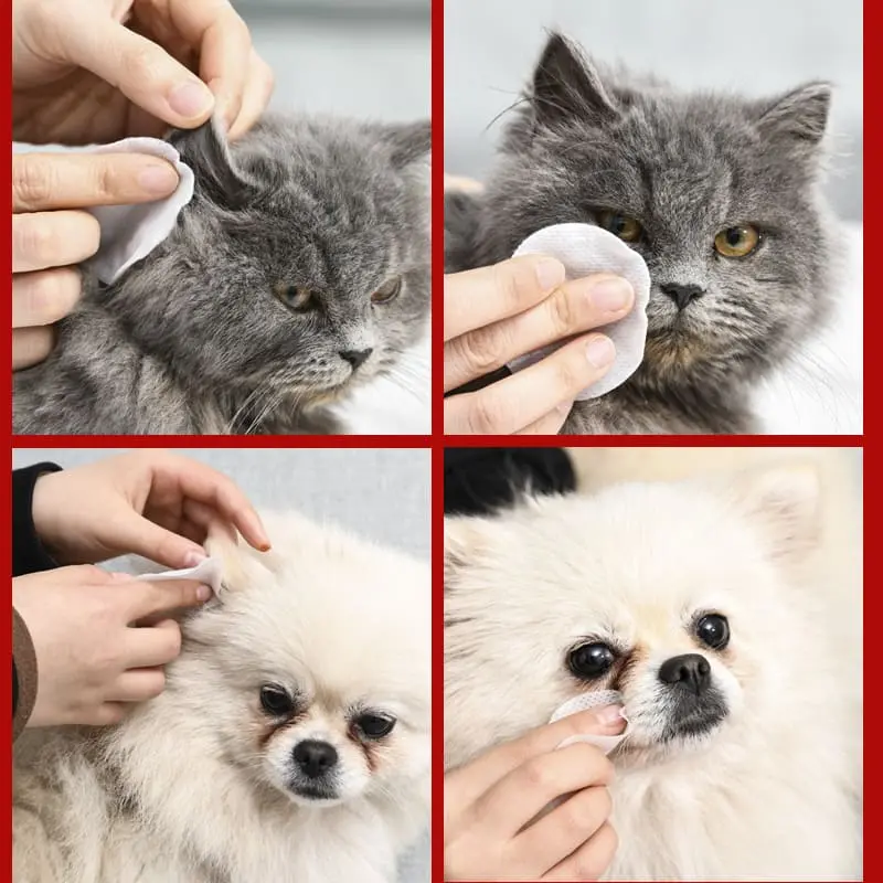 Pet-wet-wipes-827-825-3