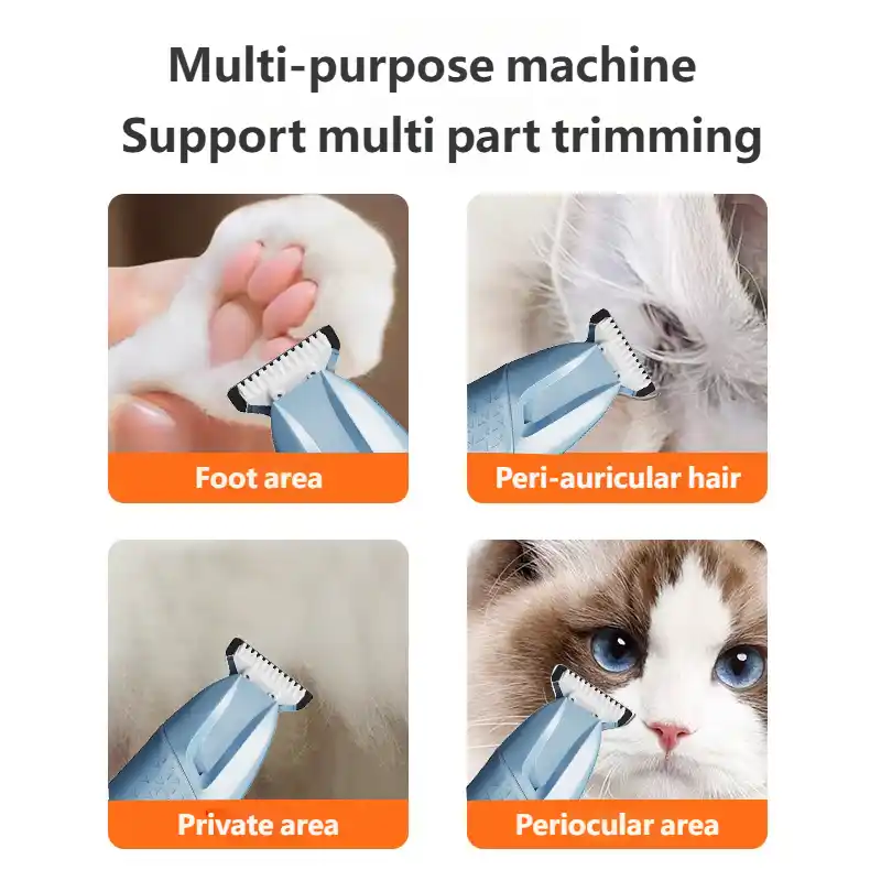 pet-cuthair-930-1538-1