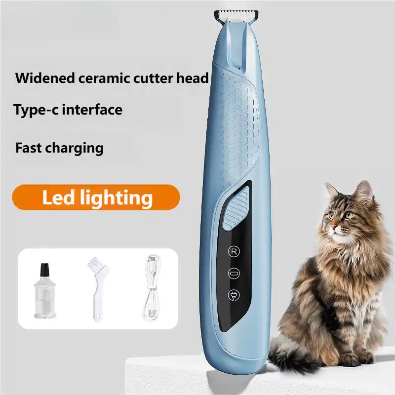 pet-cuthair-930-1538-2