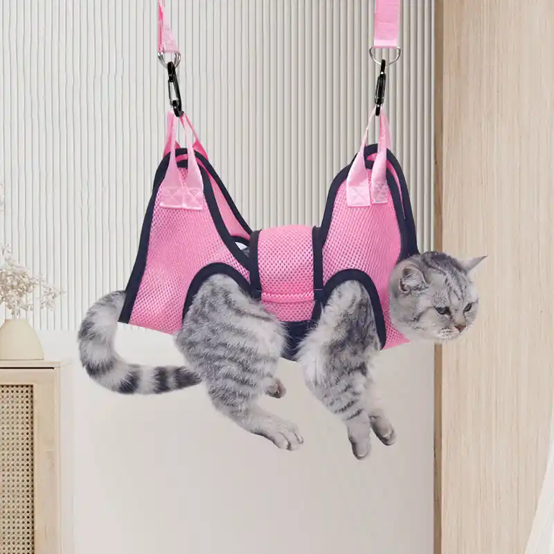 pet-grooming-hammock928-2155-1