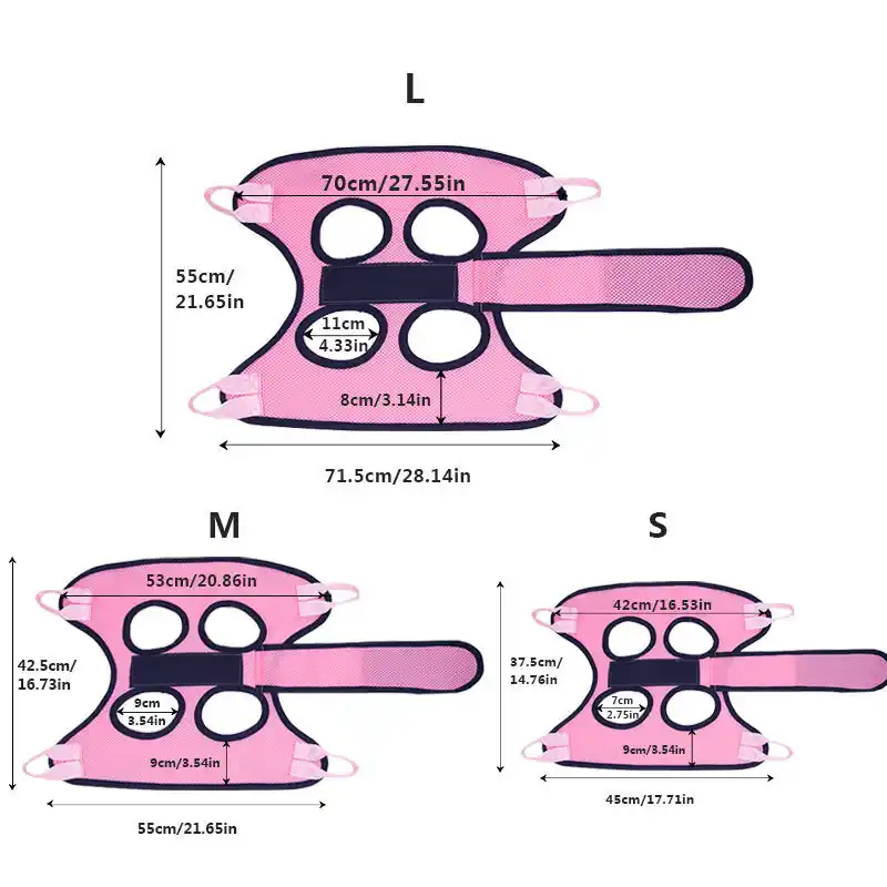 pet-grooming-hammock928-2155-3