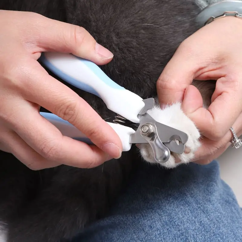 pet-nail-clippers-826-1557-2