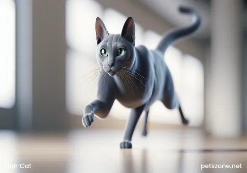 Lion Cat: A Unique Feline_Spotlight on the Charming Traits of This Mysterious Cat