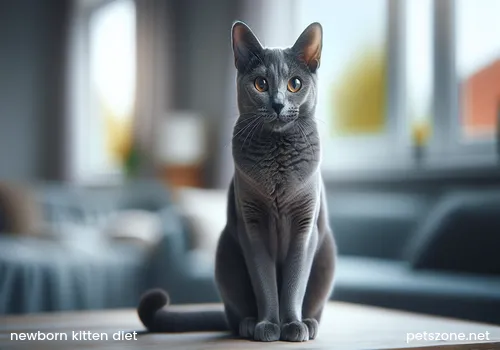 What is good for newborn kittens to eat