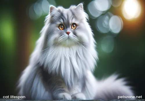 Cat Breathing Sound Rumbling_These Abnormal Causes Should Be Alerted