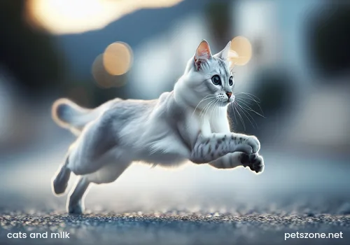 Glass glass milk pouring pour milk drinking fresh milk pitcher a glass of milk