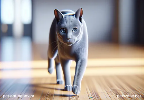 How to Educate a Pet Cat That Bites People