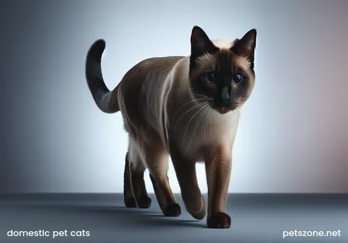 Do Domestic Pet Cats Need Deworming