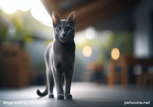 Can Dogs Eat Cat Food (What Is the Impact of Dogs Eating Cat Food)