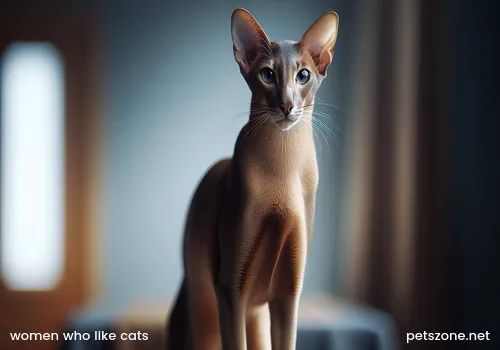 Women Who Like Cats Are Dangerous (Women Who Like Cats)