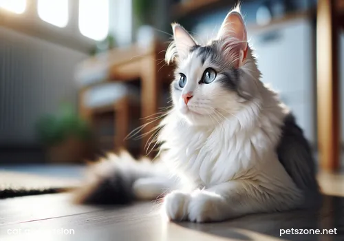 Stressed and angry cat