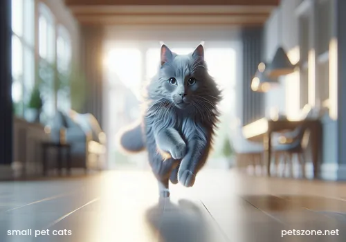 Easy-to-Raise Small Pet Cat