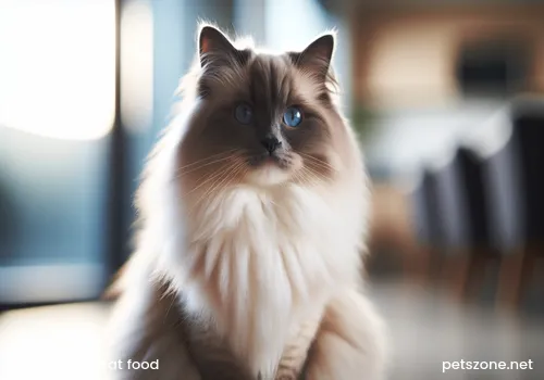 Ten Simple Homemade Cat Recipes_Easily Learn How to Make Nutritious Cat Meals