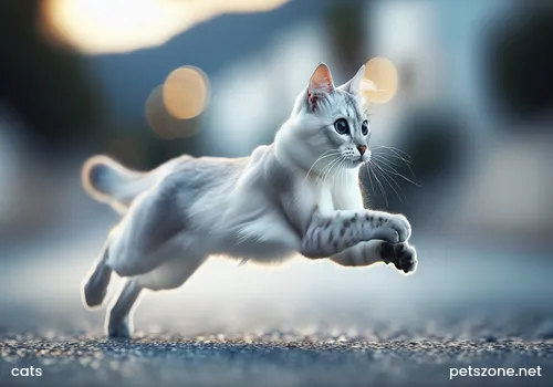 Are Cats Ultimately Bring Wealth or Disaster