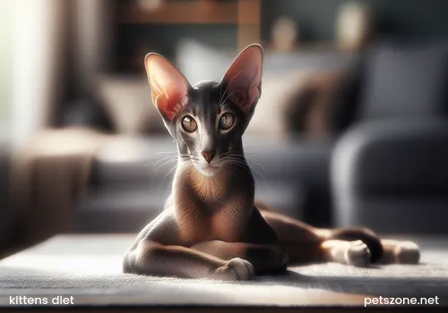 Various common pet cat breeds at home