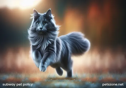 Can you bring cats on the subway (Can you bring cats on the subway)