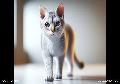 Many noble pet cat breeds at an exhibition