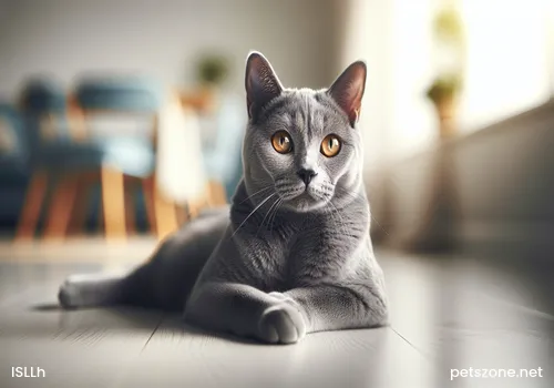 What do cats like to eat the most