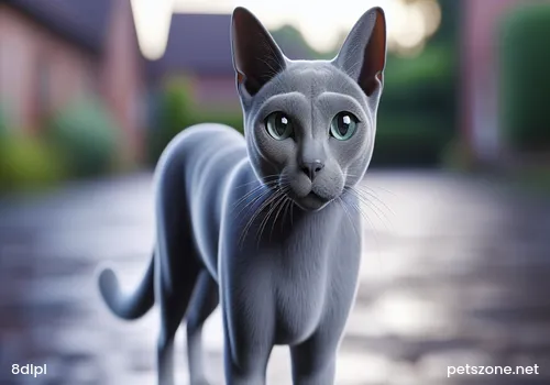 Can Cats Eat Dog Food