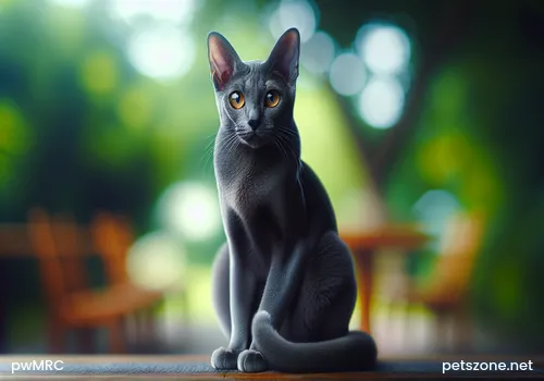 Can cats drink milk?