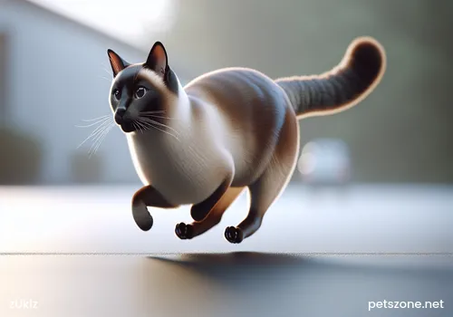 What to Do If Kittens Don’t Eat Cat Food?