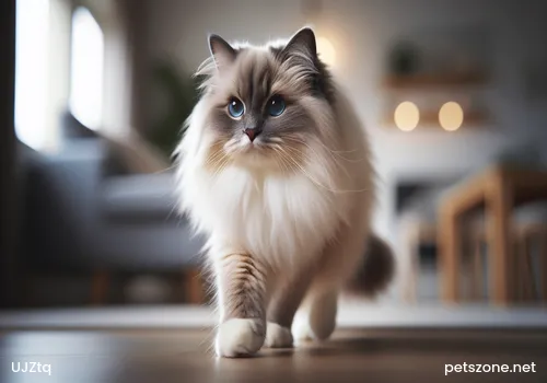 What to Do If a Kitten Has Fleas