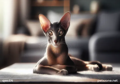 Benefits of Neutering Cats Benefits of Neutering Cats