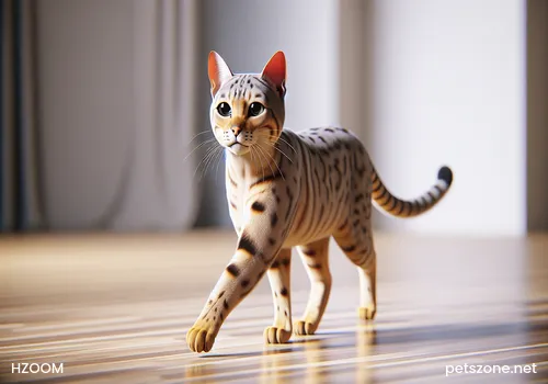 What to Do When Cats Keep Fighting While Living Together What to Do When Cats Keep Fighting While Living Together