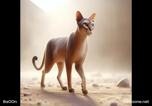 Methods and Tips to Prevent Cats from Attacking Hamsters Methods and Tips to Prevent Cats from Attacking Hamsters