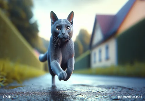 How Often Should Cats Be Dewormed