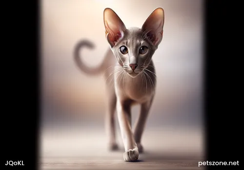 What Cats Cannot Eat