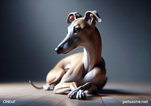 How long does rabies take to develop