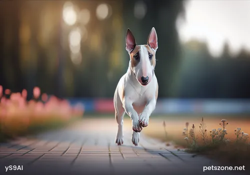 Is milk drinkable for dogs? Is milk drinkable for dogs?