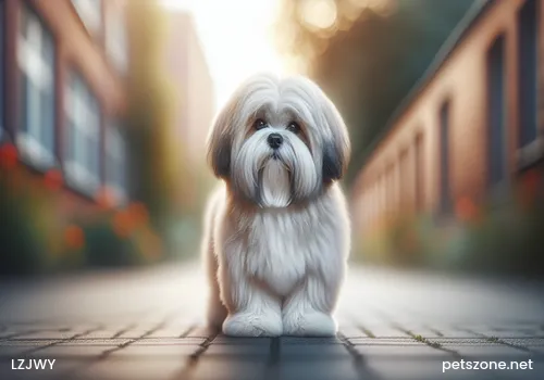 Anna Shepherd Dog Care Knowledge Anna Shepherd Dog Care Knowledge